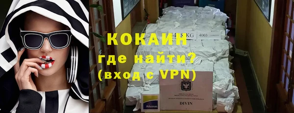 шишки Балахна