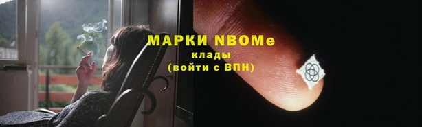 шишки Балахна