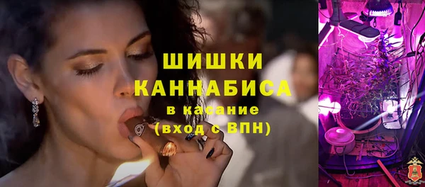 стаф Баксан