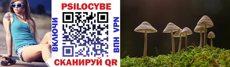 Псилоцибиновые грибы мицелий  mega ссылка  Кунгур 